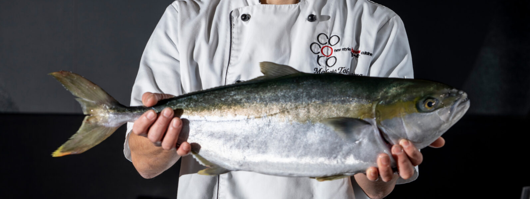 Yellowtail Image