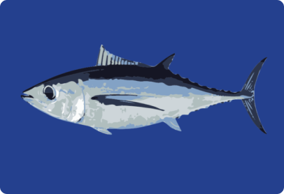 Albacore Image