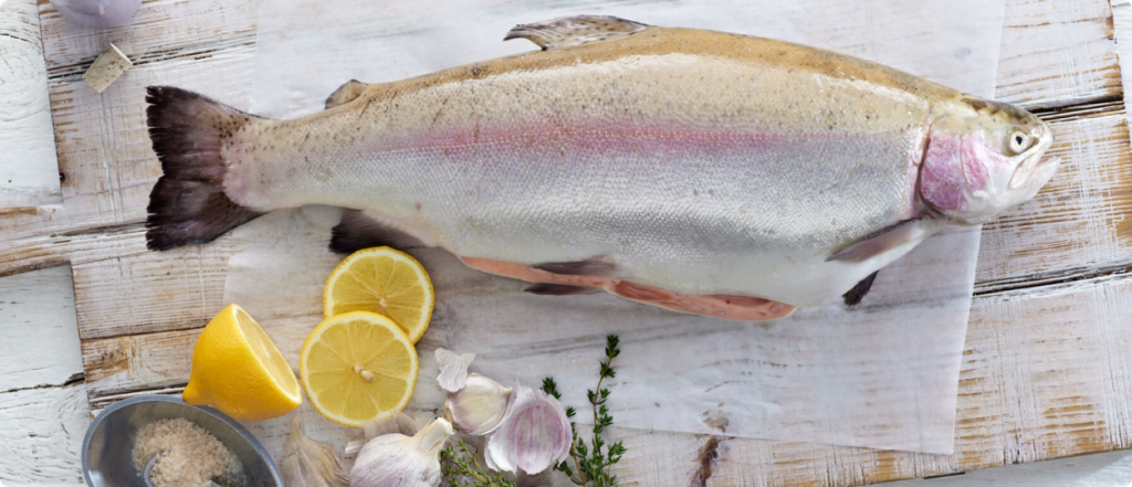 PETUNA - Lee Fish USA