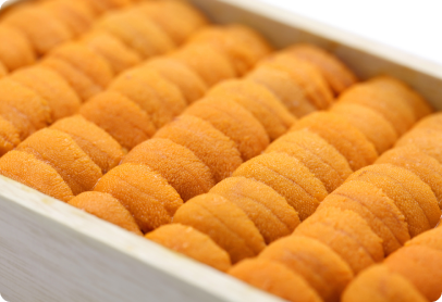 Sea Urchin (Uni)