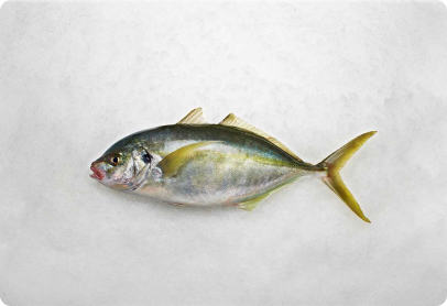 Trevally