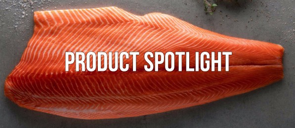 ora king spotlight header